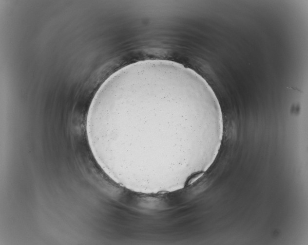 X0000111250285200907231600