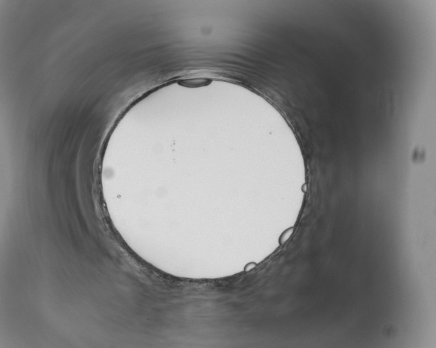 X0000111250289200907231559