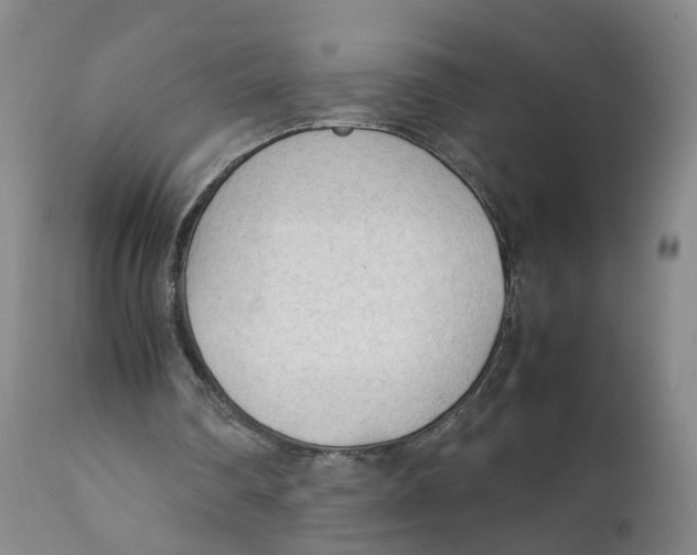 X0000111250290200907231559