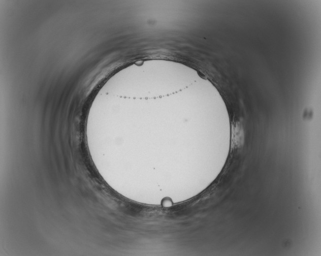 X0000111250291200907231559