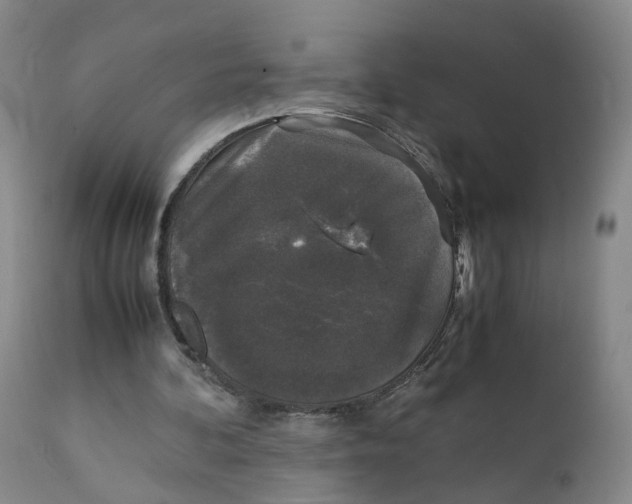 X0000111250292200907231559