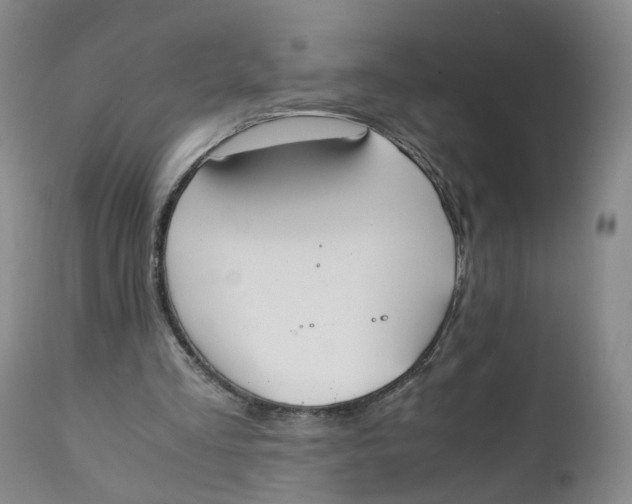 X0000111250293200907231559