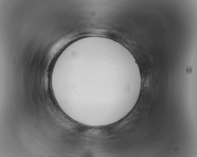 X0000111250294200907231559