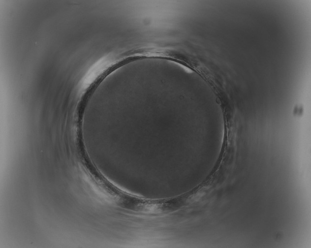 X0000111250295200907231559