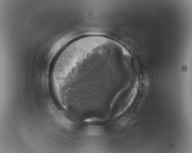 X0000111250296200907231559