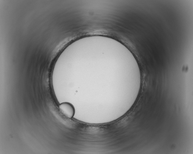 X0000111250298200907231559