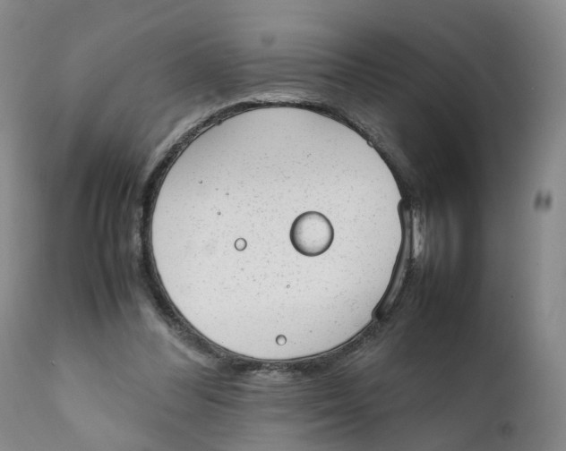 X0000111250300200907231559