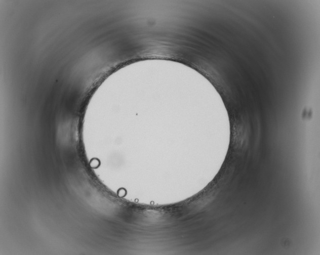 X0000111250302200907231559