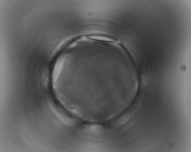 X0000111250304200907231559