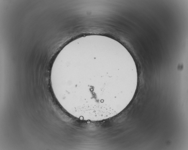 X0000111250305200907231559