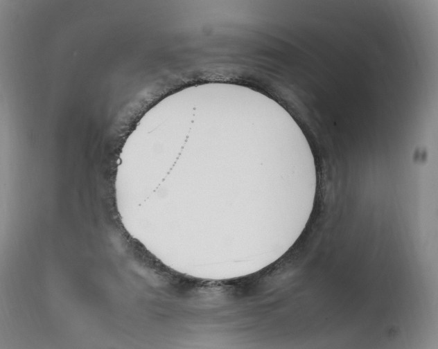 X0000111250307200907231559