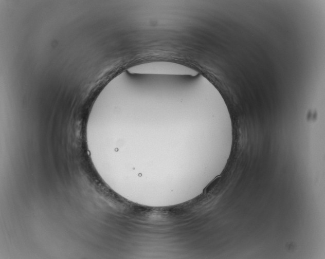 X0000111250308200907231559