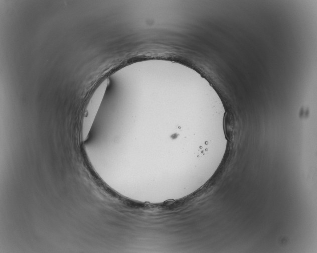 X0000111250309200907231559