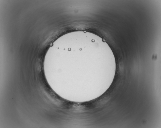 X0000111250311200907231559