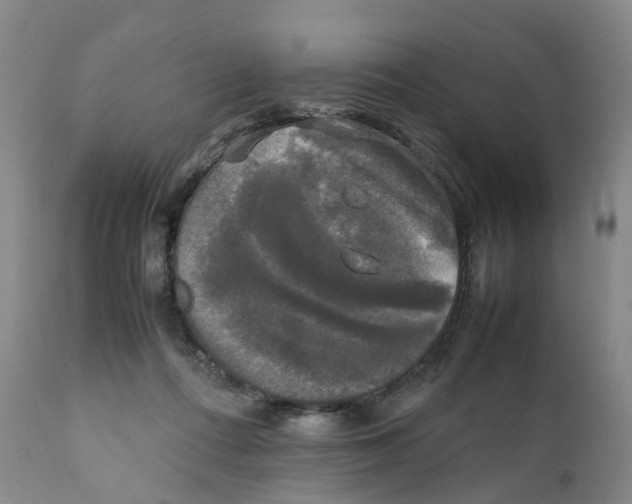 X0000111250312200907231559