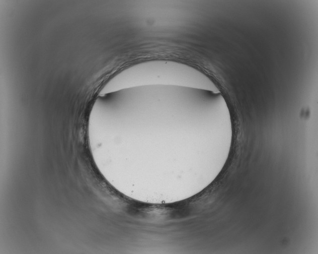 X0000111250313200907231559