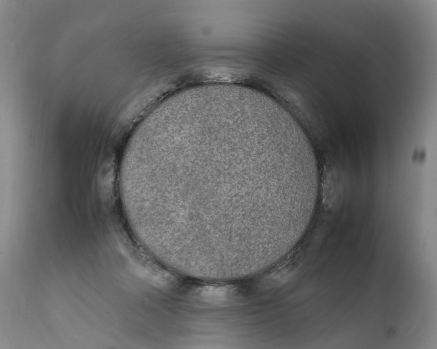 X0000111250314200907231559