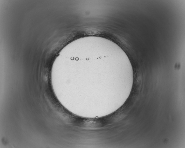 X0000111250315200907231559