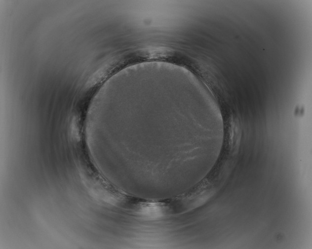 X0000111250316200907231559