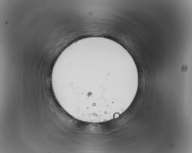 X0000111250317200907231559