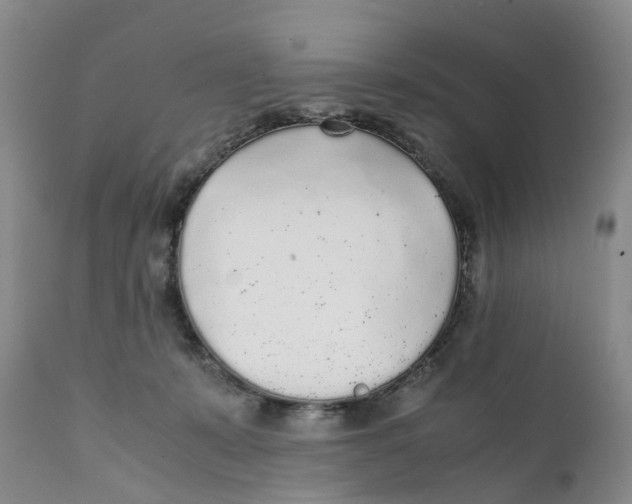 X0000111250319200907231559