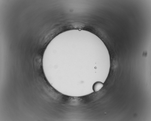 X0000111250321200907231559