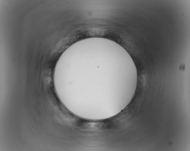 X0000111250323200907231559