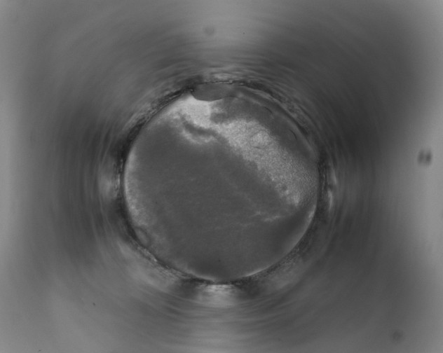 X0000111250324200907231559