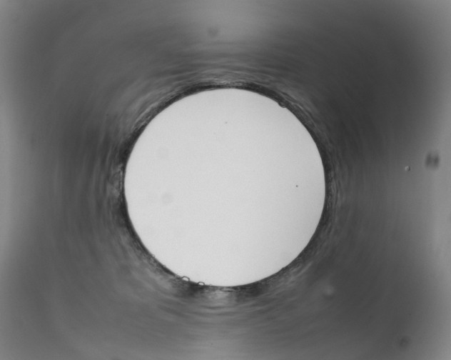 X0000111250325200907231559