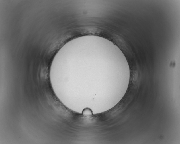 X0000111250326200907231559