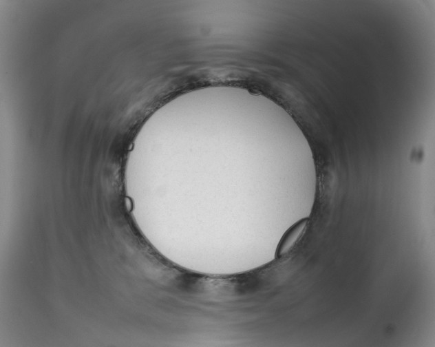 X0000111250327200907231559