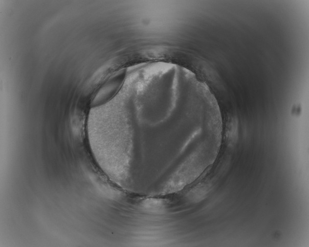 X0000111250332200907231559