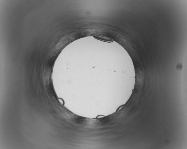 X0000111250333200907231559