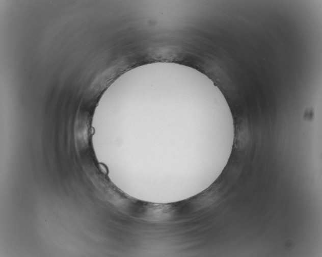 X0000111250334200907231559