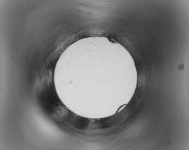 X0000111250335200907231559