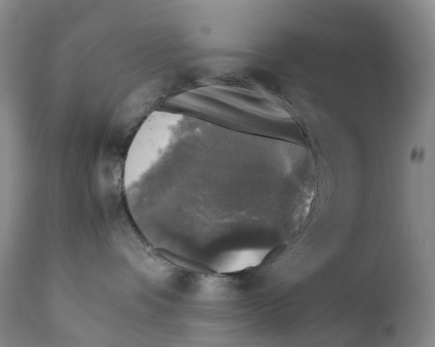 X0000111250336200907231559