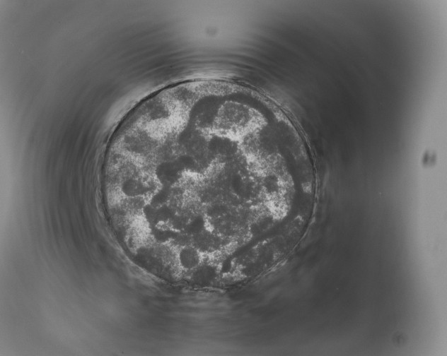 X0000111250337200907231558