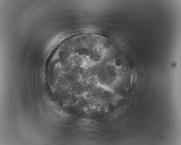 X0000111250339200907231558