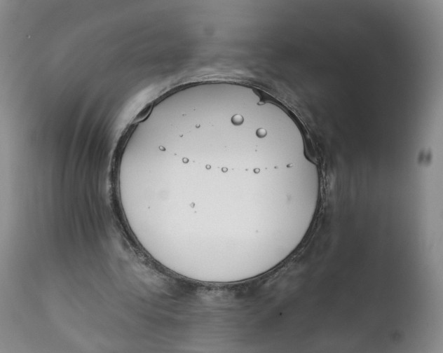 X0000111250340200907231558