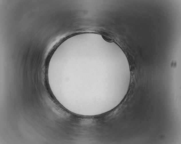 X0000111250342200907231558