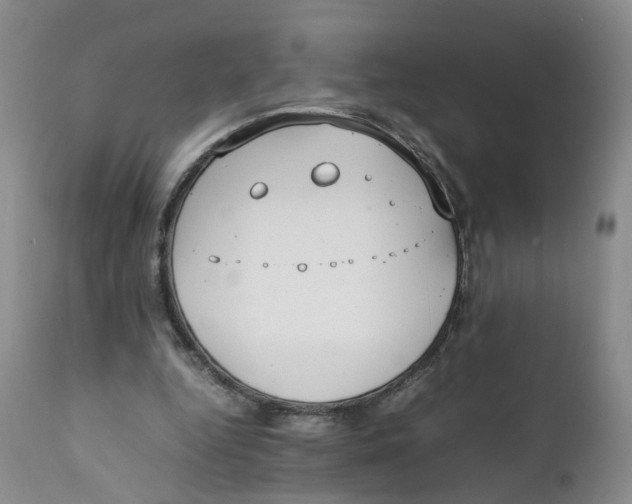 X0000111250344200907231558