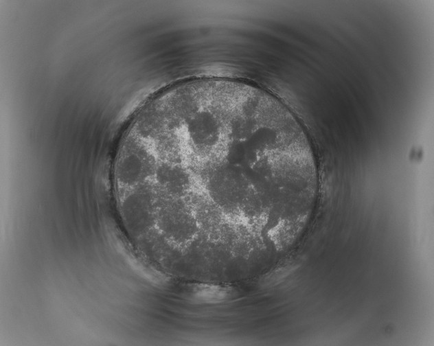 X0000111250347200907231558