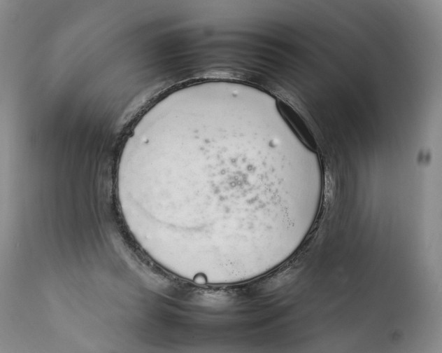 X0000111250349200907231558