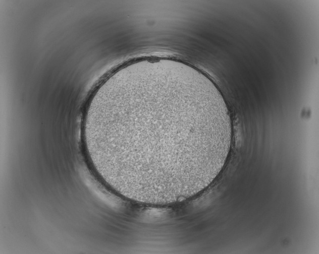 X0000111250350200907231558