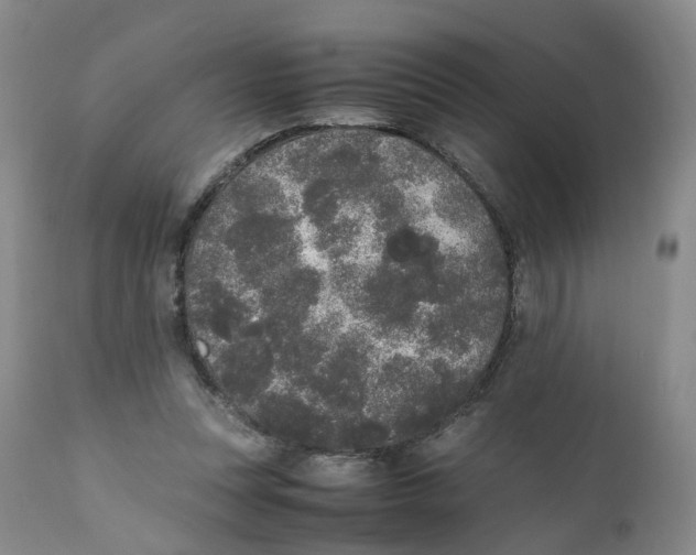 X0000111250351200907231558