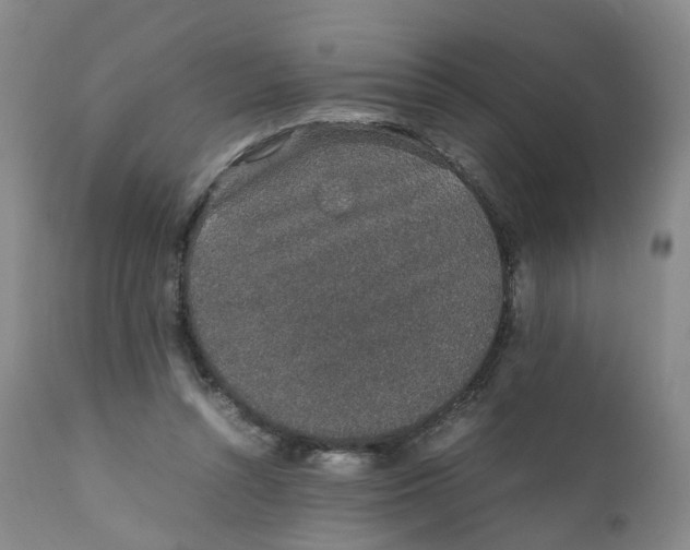 X0000111250352200907231558