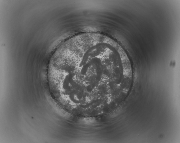 X0000111250353200907231558