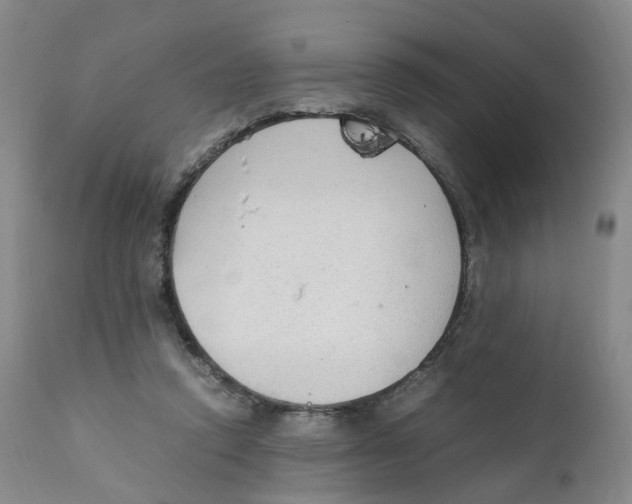 X0000111250354200907231558