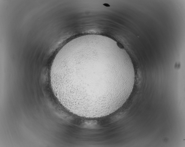 X0000111250355200907231558