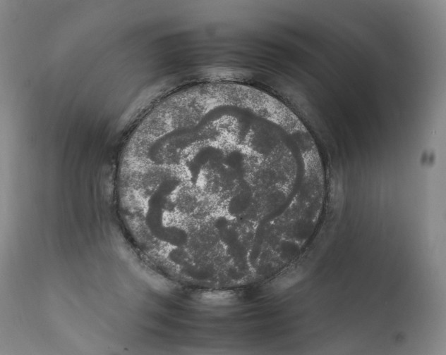 X0000111250357200907231558